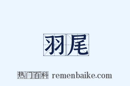 羽尾是什么意思的图片